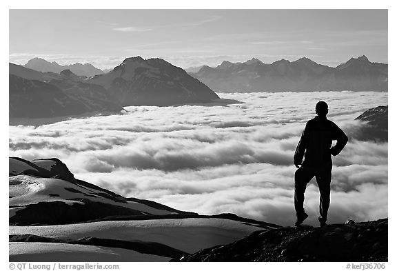 Hiker contemplaing a sea of clouds. Kenai Fjords National Park (black and white)