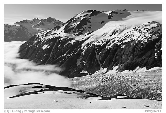 Peaks, glacier, and sea of clouds, morning. Kenai Fjords National Park (black and white)