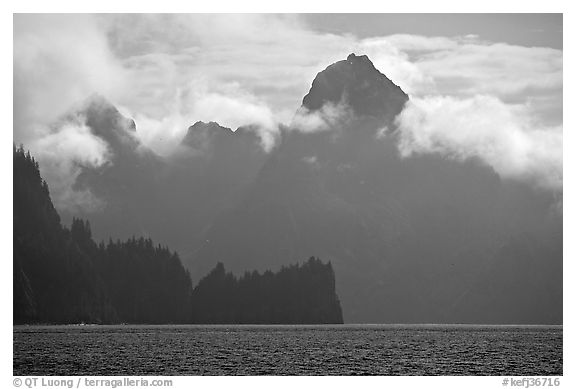 Peak emerging from the fog above bay waters. Kenai Fjords National Park (black and white)