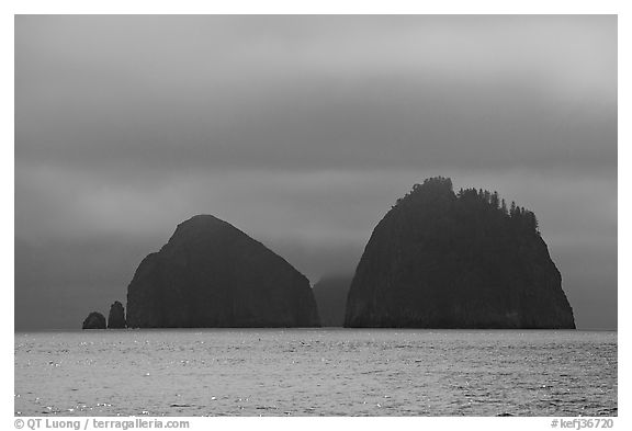 Islands emerging from fog, Aialik Bay. Kenai Fjords National Park (black and white)