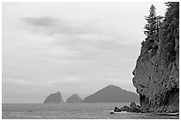 Chiswell Islands. Kenai Fjords National Park ( black and white)