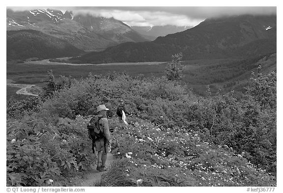 Hikers on Harding Icefield trail. Kenai Fjords National Park, Alaska, USA.