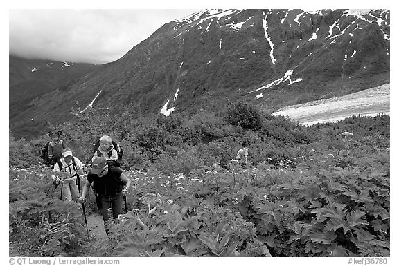 Women with child carrier backpacks on Harding Icefield trail. Kenai Fjords National Park, Alaska, USA.