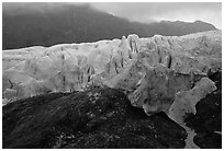 Moraine and Exit Glacier, 2002. Kenai Fjords National Park ( black and white)