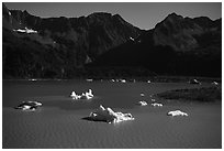 Aerial View of icebergs in Bear Glacier Lagoon. Kenai Fjords National Park ( black and white)