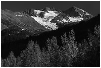 Trees in autumn and glaciers on Phoenix Peak. Kenai Fjords National Park ( black and white)