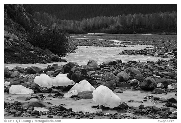 Icebergs and outwash plain in autumn. Kenai Fjords National Park (black and white)