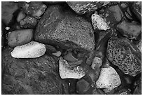 Close-up of rocks and icebergs near Exit Glacier. Kenai Fjords National Park ( black and white)