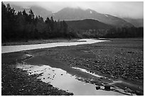 Stream and trees in autumn foliage, and mountains in the rain near Exit Glacier. Kenai Fjords National Park ( black and white)