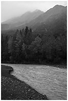 Stream, trees in autum foliage, and misty mountains. Kenai Fjords National Park ( black and white)