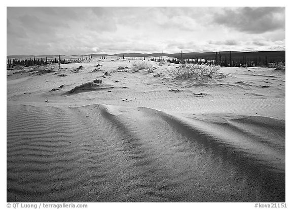 Sand ripples in Arctic dune field. Kobuk Valley National Park, Alaska, USA.