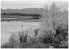 River, Warring Mountains, and fall colors at Onion Portage. Kobuk Valley National Park ( black and white)