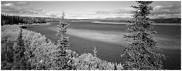 Northern river scenery seen through spruce trees. Kobuk Valley National Park (Panoramic black and white)