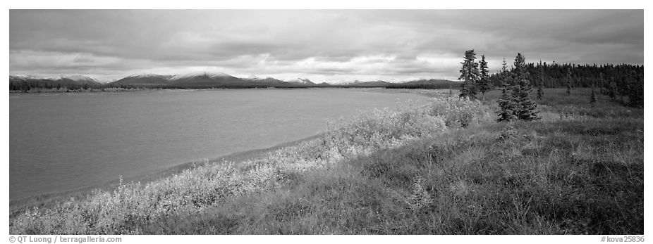 Tundra and river. Kobuk Valley National Park (black and white)