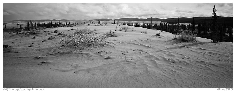 Arctic sand dune landscape. Kobuk Valley National Park (black and white)