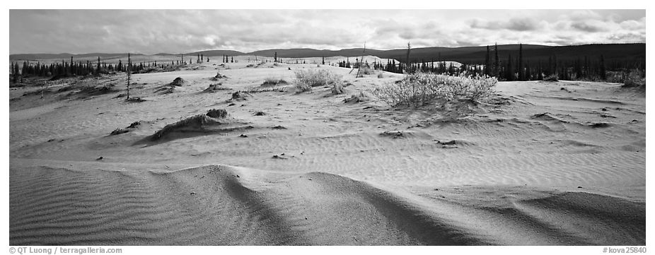 Arctic dune field. Kobuk Valley National Park (black and white)
