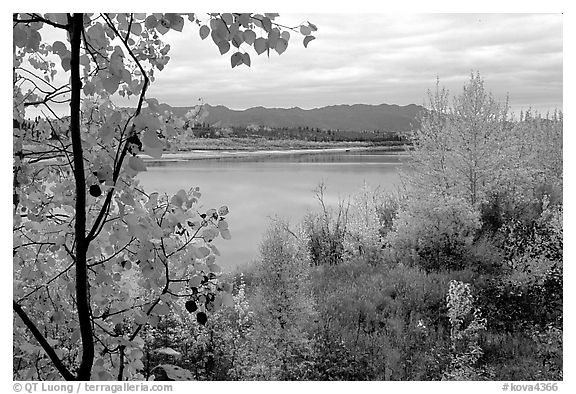 River, Warring Mountains, and fall colors at Onion Portage. Kobuk Valley National Park (black and white)
