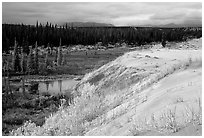Edge of the Great Sand Dunes with tundra and taiga below. Kobuk Valley National Park, Alaska, USA. (black and white)