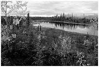 Pond near Kavet Creek. Kobuk Valley National Park, Alaska, USA. (black and white)