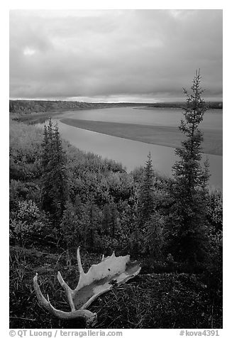 Antlers and bend of the Kobuk River, evening. Kobuk Valley National Park (black and white)