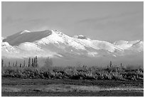 Baird mountains with a fresh dusting of snow, morning. Kobuk Valley National Park, Alaska, USA. (black and white)