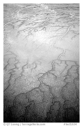 Aerial view of mud flat dendritic pattern on Cook inlet. Lake Clark National Park (black and white)