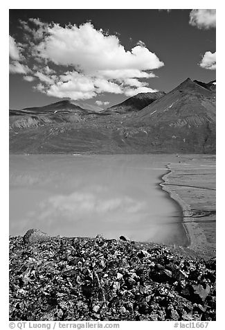 East end of Turquoise Lake. Lake Clark National Park (black and white)