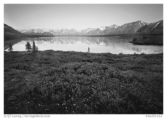 Tundra in summer with wildflowers and Twin Lake shore. Lake Clark National Park (black and white)
