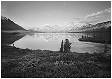 Twin Lakes with mountain reflections and green tundra, evening. Lake Clark National Park ( black and white)