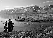 Twin Lakes and river, morning. Lake Clark National Park ( black and white)