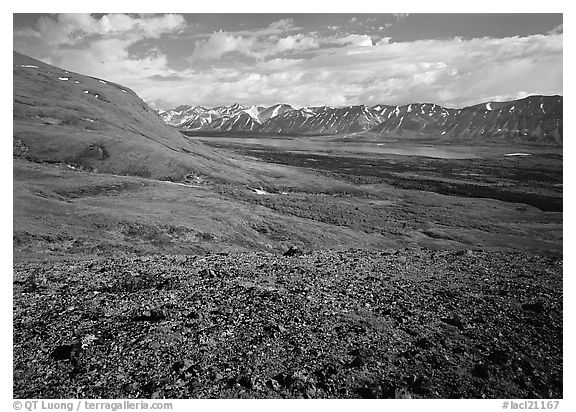 Tundra with Twin Lakes and mountains in the distance. Lake Clark National Park (black and white)
