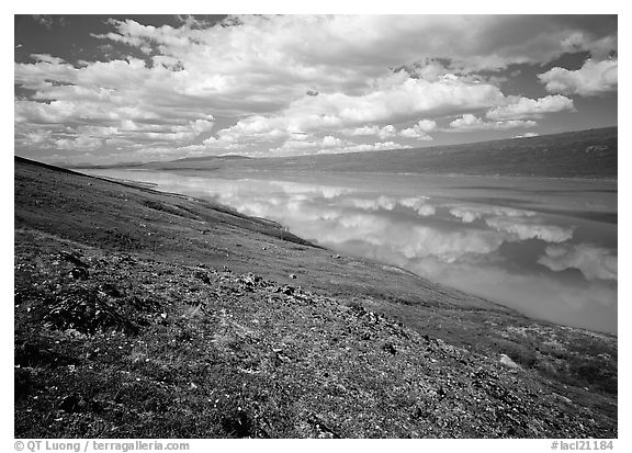 Clouds and reflections from above Turquoise Lake. Lake Clark National Park (black and white)