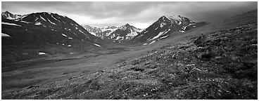 Summer mountain landscape with green tundra and wildflowers. Lake Clark National Park (Panoramic black and white)