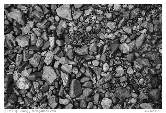 Close up of pebbles and fallen leaves on shore of Lake Clark. Lake Clark National Park (black and white)