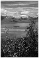 Lake Clark and islet framed by trees in autumn foliage. Lake Clark National Park ( black and white)