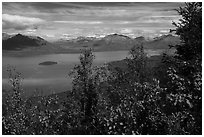Trees in fall foliage and Lake Clark. Lake Clark National Park ( black and white)