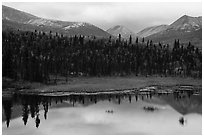 Beaver Pond and mountains. Lake Clark National Park ( black and white)