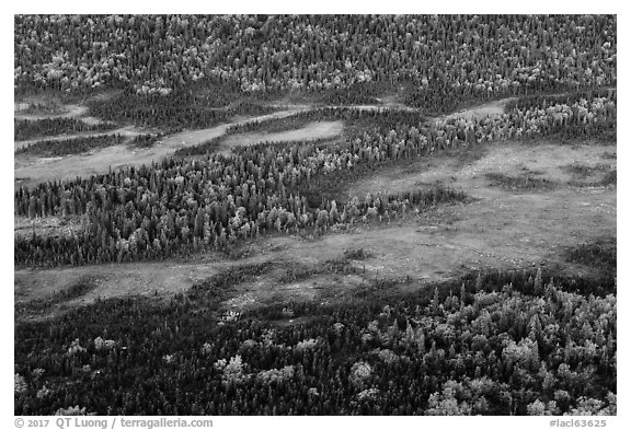 Aerial view of forest and tundra in autumn. Lake Clark National Park (black and white)
