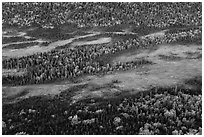 Aerial view of forest and tundra in autumn. Lake Clark National Park ( black and white)
