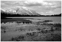 Bonaza ridge seen above a pond at the base of Mt Donoho, afternoon. Wrangell-St Elias National Park ( black and white)