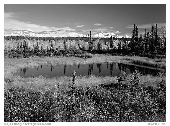 Pond and Wrangell range in the distance. Wrangell-St Elias National Park (black and white)