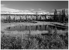 Pond and Wrangell range in the distance. Wrangell-St Elias National Park, Alaska, USA. (black and white)