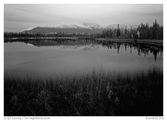 Pond with mountain reflections at dusk, near Chokosna. Wrangell-St Elias National Park, Alaska, USA.