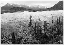 Trees, Root Glacier, and Wrangell Mountains. Wrangell-St Elias National Park ( black and white)