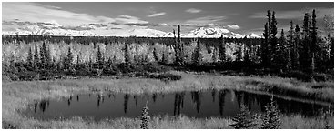 Autumn landscape with pond, forest, and distant mountains. Wrangell-St Elias National Park (Panoramic black and white)