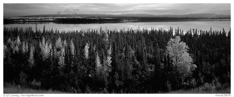Autumn scenery with forest, lake, and distant mountains. Wrangell-St Elias National Park (black and white)