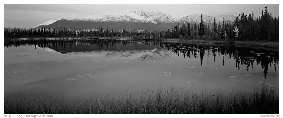 Pond and reflected mountains at dusk. Wrangell-St Elias National Park (black and white)
