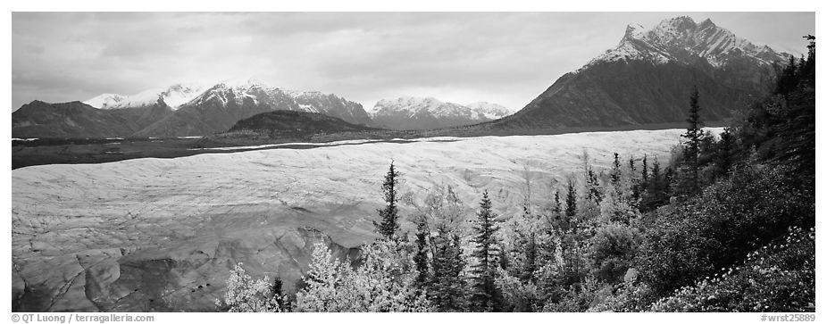 Mountain landscape with trees in fall color and glacier. Wrangell-St Elias National Park (black and white)