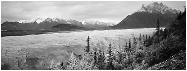 Mountain landscape with trees in fall color and glacier. Wrangell-St Elias National Park (Panoramic black and white)