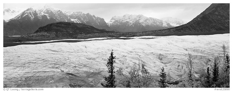 Wide mountain glacier. Wrangell-St Elias National Park (black and white)